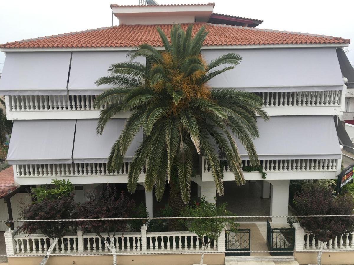 Dionisos Palms Apartments 팔랄리아 디오니시우 외부 사진