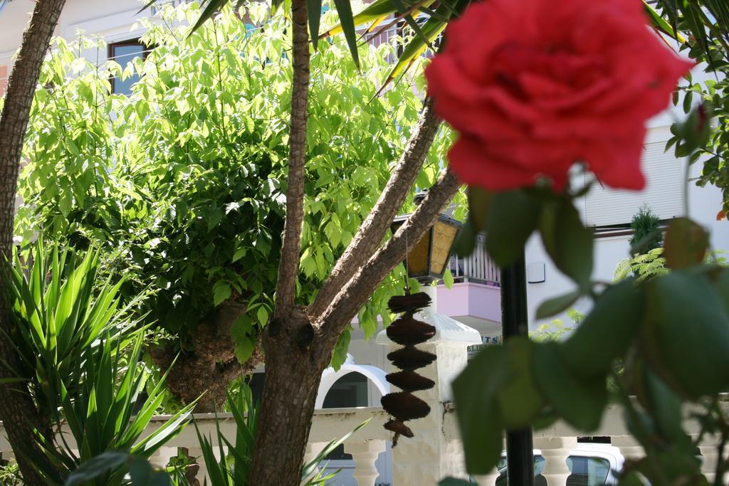 Dionisos Palms Apartments 팔랄리아 디오니시우 객실 사진