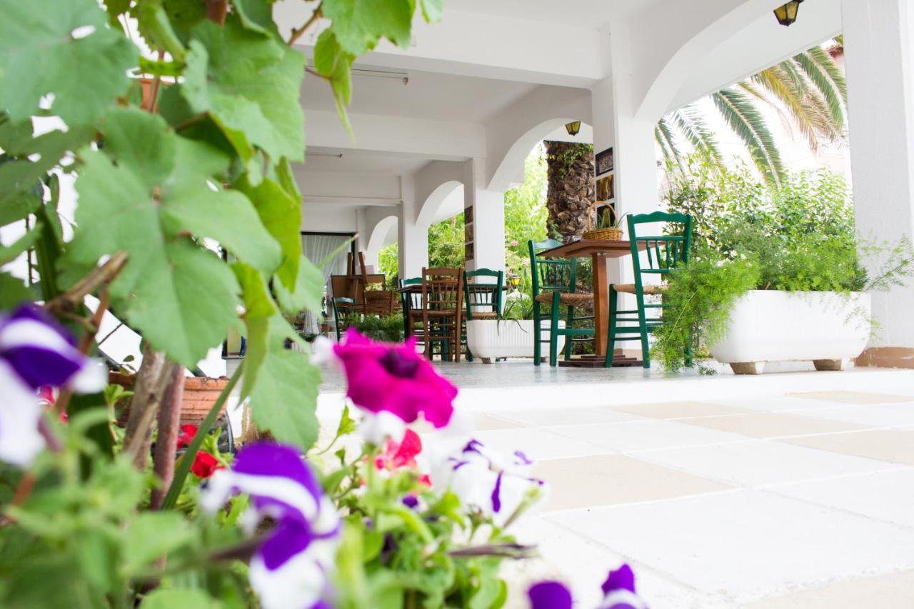 Dionisos Palms Apartments 팔랄리아 디오니시우 외부 사진